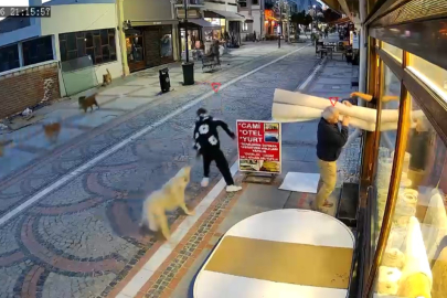 Şehrin göbeğinde dehşet: Köpeklerin saldırdığı genç hastanelik oldu!