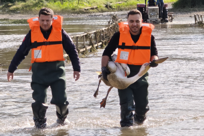 Su içinde mahsur kalmıştı: Yaralı pelikan için itfaiye seferber oldu!