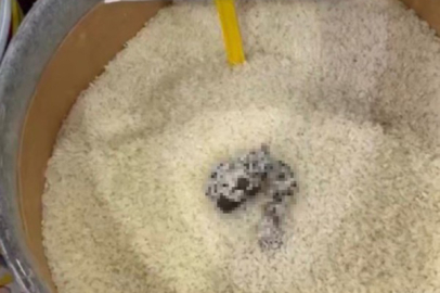 Kedi dışkılı Pirinç'e ağır ceza