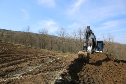 Nilüfer'de dağ taş bereketlendi: 400 fidan toprakla buluştu!