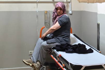 Bahçede korku dolu anlar! Odun taşırken akrep soktu