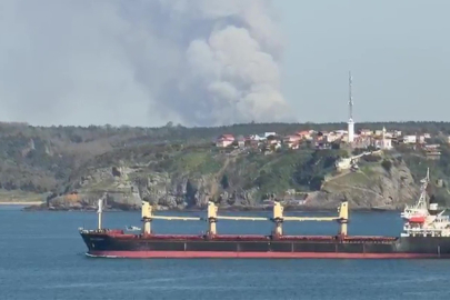 Beykoz’da orman yangını: Helikopterle havadan müdahale edildi