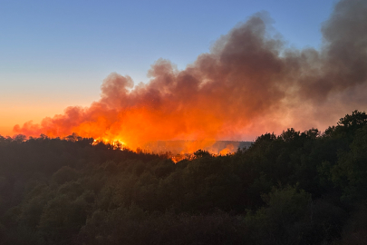 Beykoz’da orman yangını kabusu: Kontrol altına alınmıştı ama...