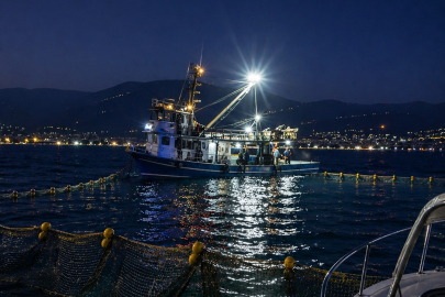 Gemlik’te Sardalya mesaisi başladı: Amatör denizcilere uyarı!