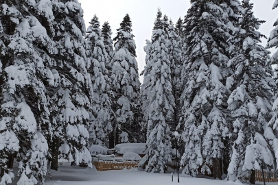 Uludağ'da Mayıs sürprizi: Kar yağışı geri dönüyor!
