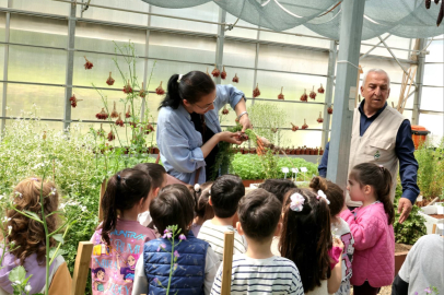 Osmangazi'den gelecek nesillere çevre bilinci: Seralar okul oldu