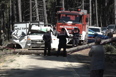Uludağ Yolunda feci ölüm: Kesilen ağaç kamyonetin üzerine devrildi