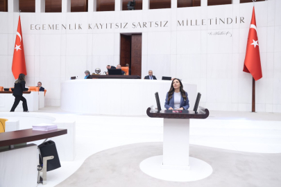 Kayışoğlu’ndan Meclis’te "Gurbetçi" çıkışı: Sözler tutulsun