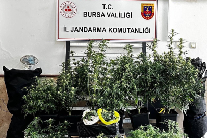 Bursa'da jandarmadan zehir tacirine operasyon: Evinden servet çıktı