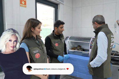 Ajda Pekkan Gürsu’nun patilerine kayıtsız kalmadı