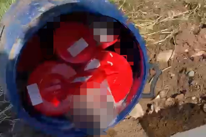 Plastik kutularda 21 cenin bulundu