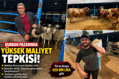 Kurban pazarında üreticinin maliyet isyanı