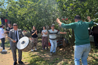 Rekolte 4 kat artınca çiftçi tarlada göbek attı