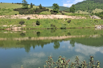 Arkadaşlarıyla girdiği gölette can verdi