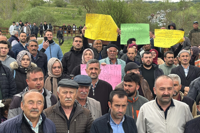 Gerede Çayı'ndan 10 yıldır zehir akıyor: Köylüler isyanda!