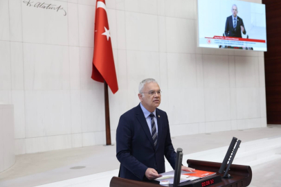 CHP'li Kayıhan Pala’dan görme engelli diyabet hastaları için cihaz çağrısı!