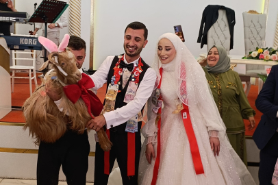 Düğünde altın yerine keçi takıldı