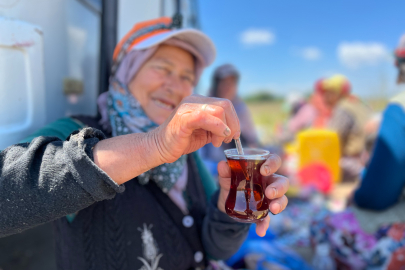 Karacabeyli tarım işçilerinin tarladaki en büyük ödülü: Matara çayı