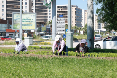Bu yaz Osmangazi’de çiçek kokuları eksik olmayacak