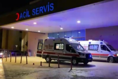 Erik toplamak için çıktığı ağaçtan düşerek yaralandı