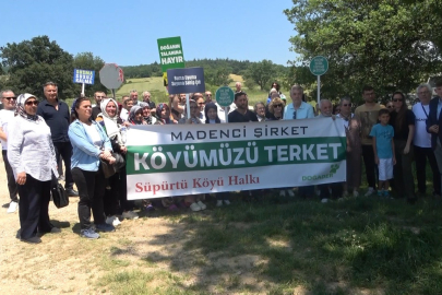 Kurşunlu'da maden isyanı: "127 bin metrekare orman yok olacak"