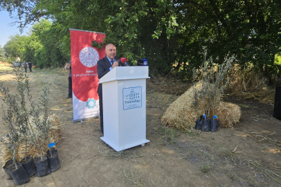 Marmarabirlik ve İl Milli Eğitim protokolü imzalandı: Hamidiye MTAL’de alım garantili zeytin üretimi başlıyor