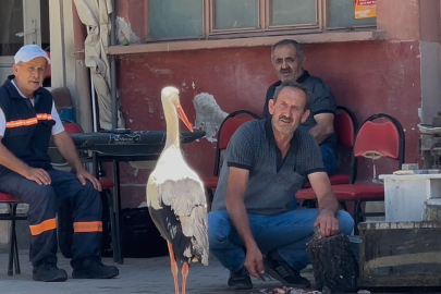 Bursa'da yeni bir yaren hikayesi: Bu kez köy kahvesinde!