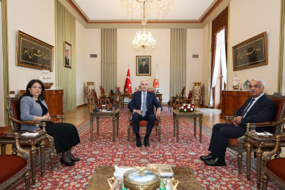 Meclis Başkanı Kurtulmuş, Buldan ve Sancar'la görüştü