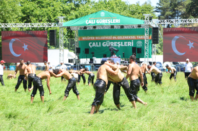 Çalı Güreşleri'nde Başpehlivan belli oldu! İşte yeni ağa