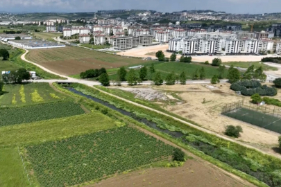 Hasanağa Enginarı ranta yeniliyor: Betonların arasında kaldı