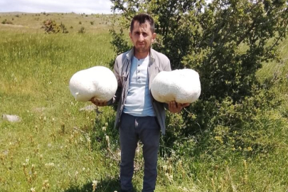 Doğada 20 kiloluk mantar buldu