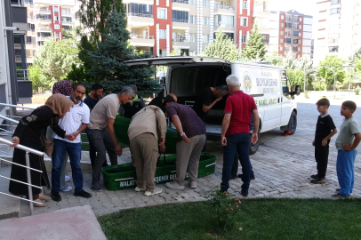 Bir hafta önce taşındığı evde ölü bulundu