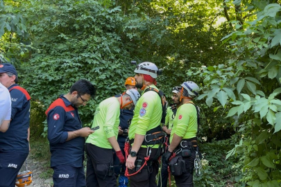 Bursa'da acı ölüm: Ihlamur toplamaya gitti, dönemedi!