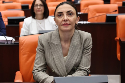CHP'li Kayışoğlu: "Sistem hatası gurbetçiyi yakıyor"
