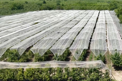 Çiftçinin afet kalkanı: Dönümü 200 bin TL ama hayat kurtarıyor