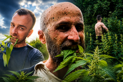 Isırgan Otu Akımı Büyüdü! UFC Sporcusuna Rize'den Cevap Geldi