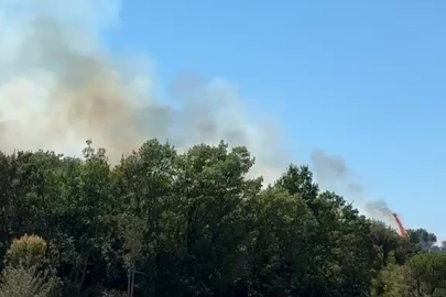Kestel'deki orman yangını söndürüldü