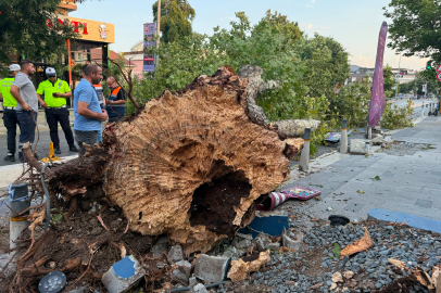 Fırtına İstanbul’u vurdu: Ağaçlar devrildi, dükkan camları patladı!