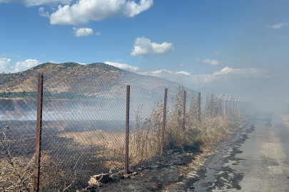 Alevler zeytinlik ve evleri tehdit etti: Mahalleli isyan etti