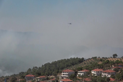 Gömeç ve Ayvalık'ta alevlerle mücadele sürüyor