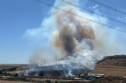 Tekirdağ’da korkutan yangın: 500 dönüm anız alev alev yandı