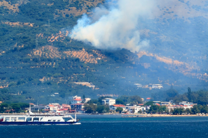 Marmara Adası'nda orman yangını başladı