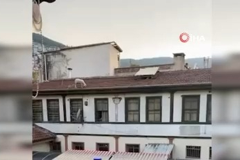 Çatıdaki koyun şaşırttı: O anlar kameraya yansıdı
