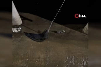 Derede mahsur kalan kedi, kurtuluş yolunu kendi buldu