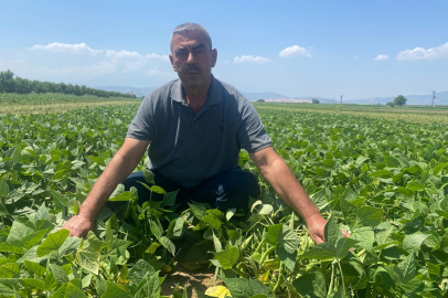 Bursa'da kooperatiften çiftçiye kazanç garantili üretim