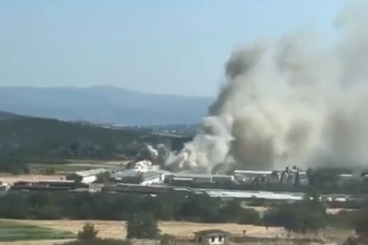 Bursa'da tavuk çiftliğinde yangın