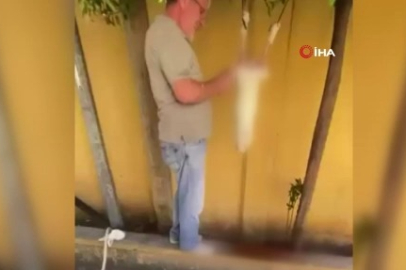 Sokak ortasında inanılmaz vahşet: Cani şahıs yakalandı!