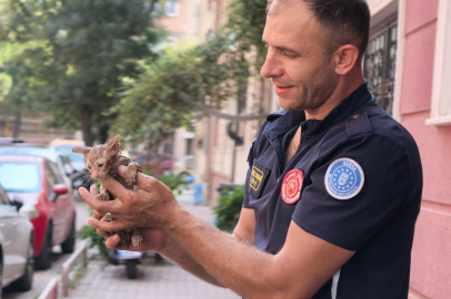 Bursa'da zamana karşı yarış: Yavru kedi borudan kurtarıldı