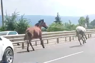 Bursa'da şoke eden görüntü: Yoğun trafikte dört nala