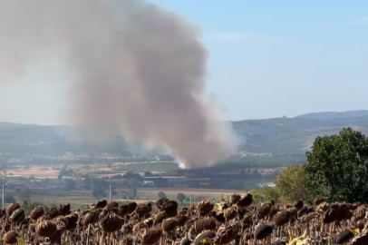 Bursa Mudanya'da yangın: Alevlere havadan müdahale